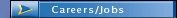 Careers/Jobs